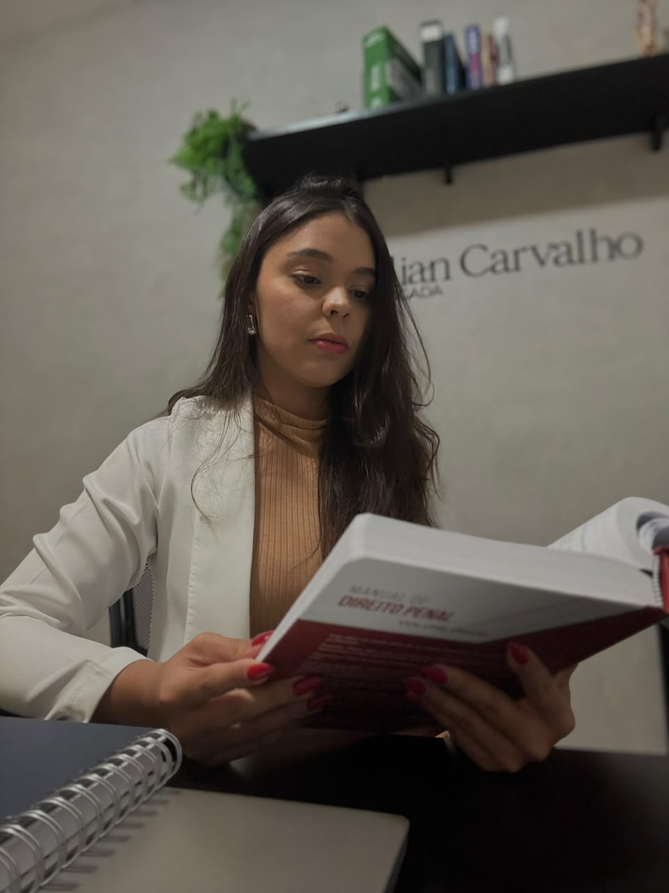 Dra. Lílian Carvalho em consulta jurídica